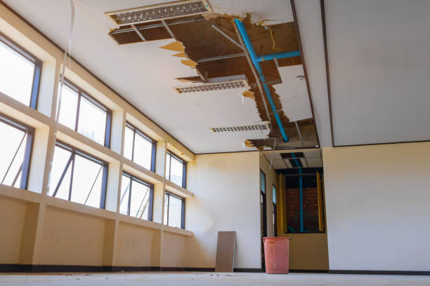 Best Carpet water damage restoration  in South San Jose Hills, CA
