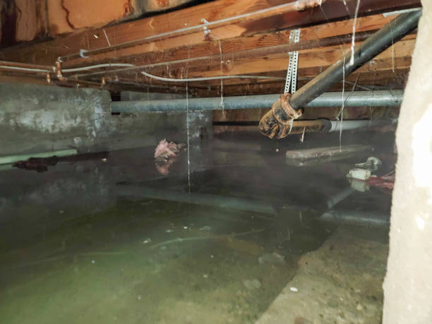 Best Residential water damage restoration  in South San Jose Hills, CA