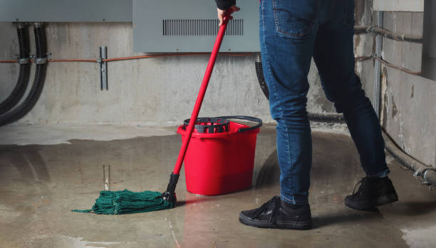 Best 24-hour water damage restoration  in South San Jose Hills, CA