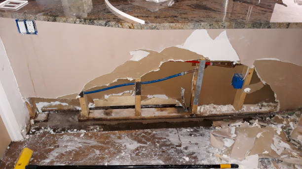 Best Mold removal after water damage  in South San Jose Hills, CA