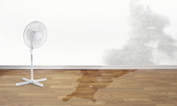 Trusted South San Jose Hills, CA Water damage restoration Experts