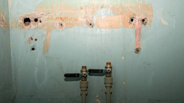 Best Ceiling water damage repair  in South San Jose Hills, CA