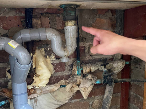Best Water damage contractors near me  in South San Jose Hills, CA