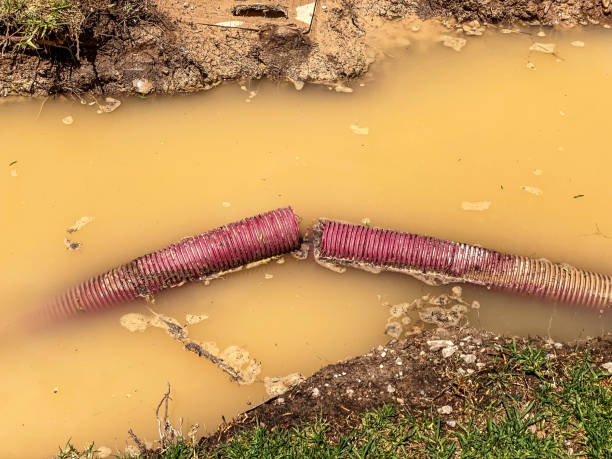 Best Emergency water damage restoration  in South San Jose Hills, CA