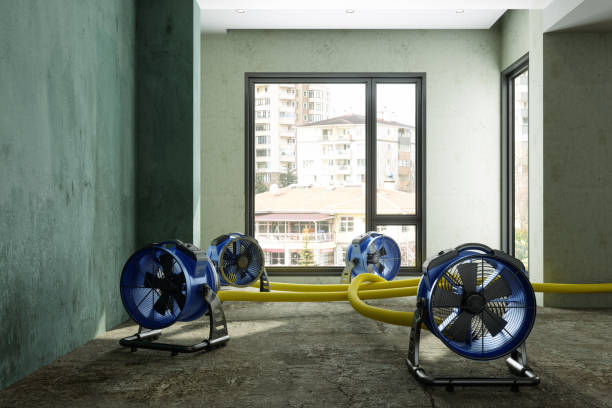 Water damage restoration experts in South San Jose Hills, CA
